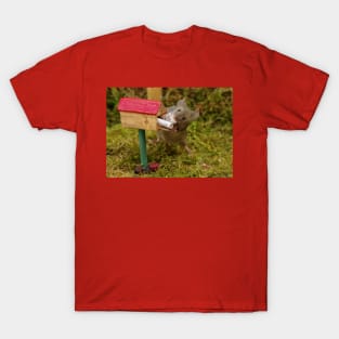 George the mouse in a log pile house - collecting the fan mail T-Shirt